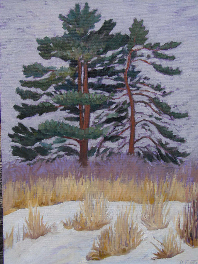 Past Works